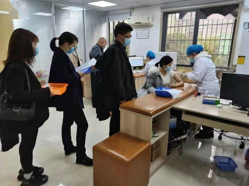 鉚足干勁辦實(shí)事，服務(wù)群眾開(kāi)新局——岳麓區(qū)黨史學(xué)習(xí)教育引領(lǐng)教育咨詢(xún)服務(wù)新實(shí)踐